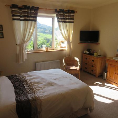 Heulwen Guest House Dolgellau Eksteriør bilde